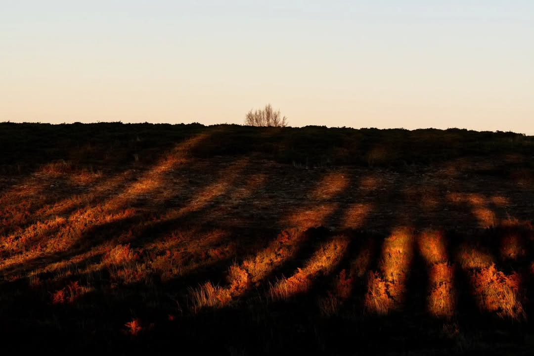 Último sol a desenhar faixas douradas sobre o monte, Cabeceiras de Basto